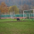 wird geladen
