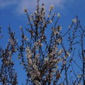 wird geladen